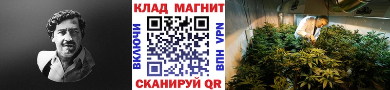 Где продают наркотики Татарск Альфа ПВП  Бошки Шишки  Мефедрон  ГАШИШ 
