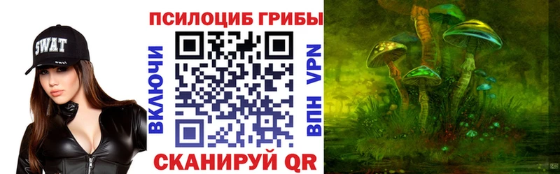 Псилоцибиновые грибы мухоморы  наркота  Татарск 