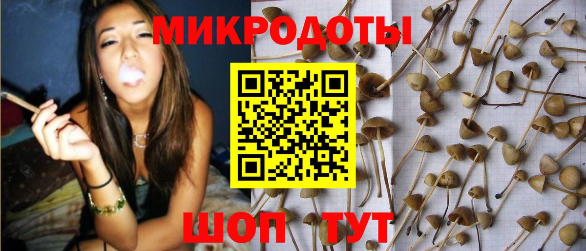 Татарск  Галлюциногенные грибы Magic Shrooms  Вход с VPN 